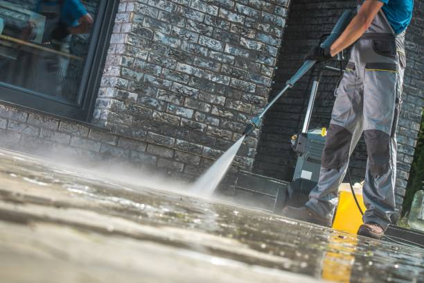 Best Graffiti Removal  in Orlovista, FL
